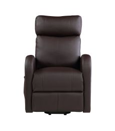 Ricardo Recliner w/Power Lift; Brown PU